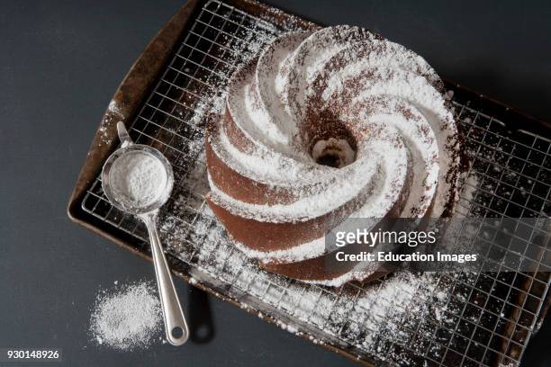 High Angle View of Vanilla Bundt Cake Sprinkled with Powdered Sugar and Small Sieve.