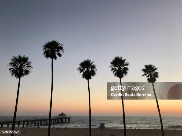 manhattan beach pier at sunset - manhattan beach photos et images de collection