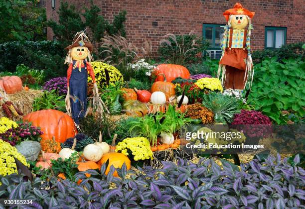 Halloween Decorations, Stuyvesant Town, NY.