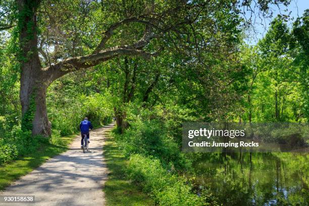 The Delaware River trail or Delaware and Raritan State Canal Park, near Lambertville, Hunterdon County, New Jersey, USA.