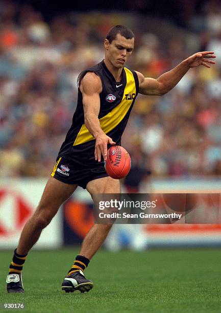 Andrew Kellaway of Richmond in action, during the match between the Richmond Tigers and the Western Bulldogs, during round two of the AFL season,...