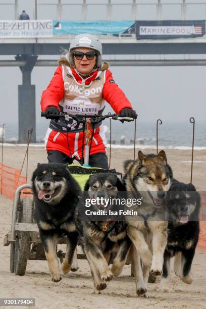 German actress Jutta Speidel runs with sled dogs during the 'Baltic Lights' charity event on March 10, 2018 in Heringsdorf, Germany. The annual event...