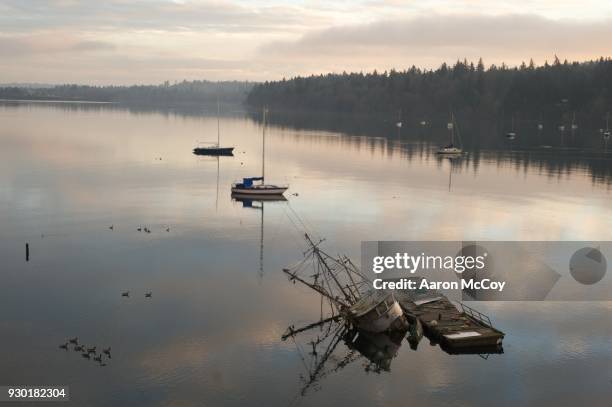 sinking ship at sunrise - vashon island stock pictures, royalty-free photos & images