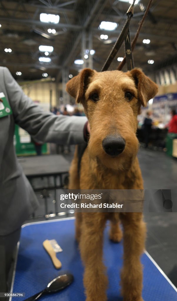 2018 Crufts Dog Show Day Two