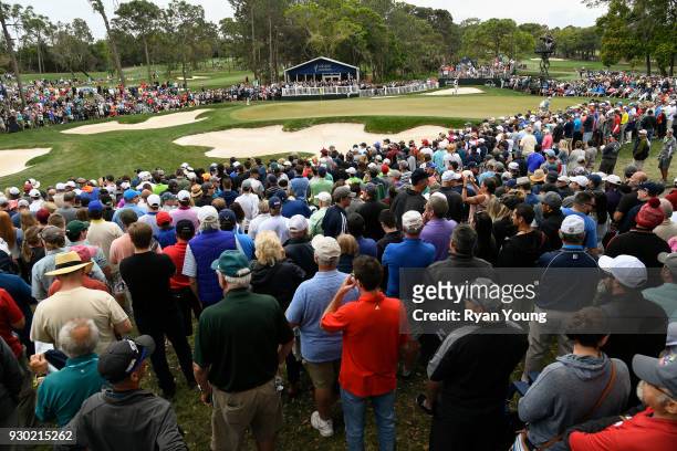 Fans gather around the fourth green to watch Tiger Woods' group during the third round of the Valspar Championship at Innisbrook Resort on March 10,...