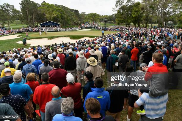 Fans gather around the fourth green to watch Tiger Woods' group during the third round of the Valspar Championship at Innisbrook Resort on March 10,...