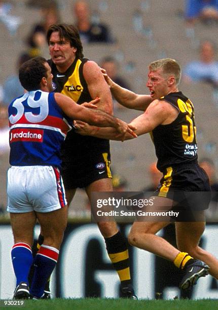 Matthew Knights of Richmond comes to the aid of Wayne Campbell of Richmond who is wrestling with Tony Liberatore of the Western Bulldogs, during the...