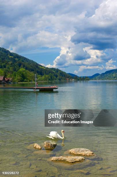 Buhl, Lake Buhl, Alpsee lake, Allgau, Bavaria, Germany, Europe .