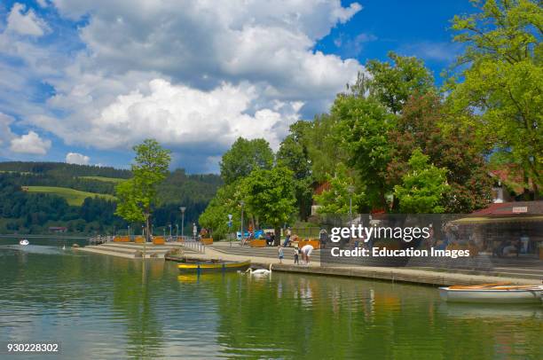 Buhl, Lake Buhl, Alpsee lake, Allgau, Bavaria, Germany, Europe .