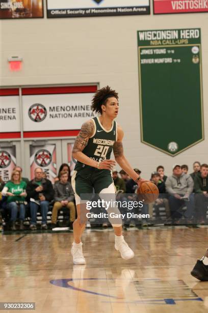 Wilson of the Wisconsin Herd handles the ball against the Westchester Knicks on March 10, 2018 at the Menominee Nation Arena in Oshkosh, Wisconsin....