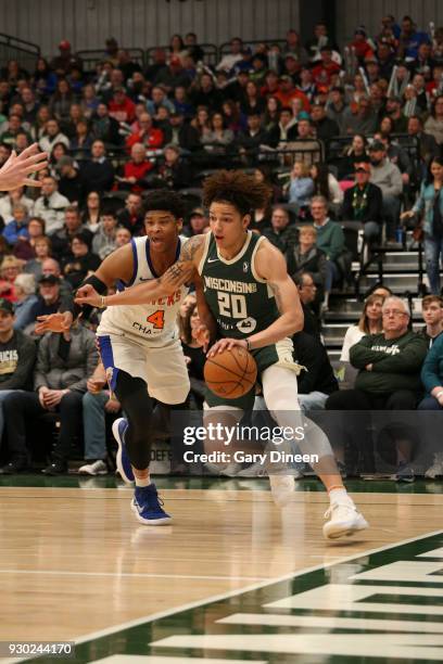 Wilson of the Wisconsin Herd handles the ball against the Westchester Knicks on March 10, 2018 at the Menominee Nation Arena in Oshkosh, Wisconsin....