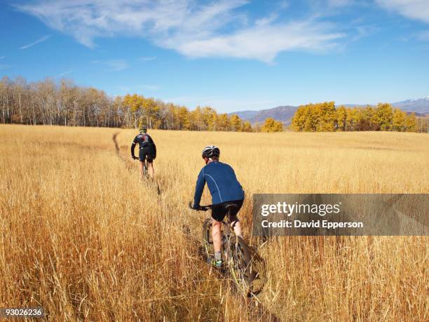 mountain biking - steamboat springs stock pictures, royalty-free photos & images