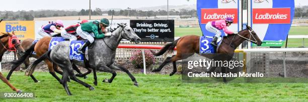 Bijou Belle ridden by Nikita Beriman wins the Danny O'Brien MP BM58 Handicap at Stony Creek Racecourse on March 11, 2018 in Stony Creek, Australia.