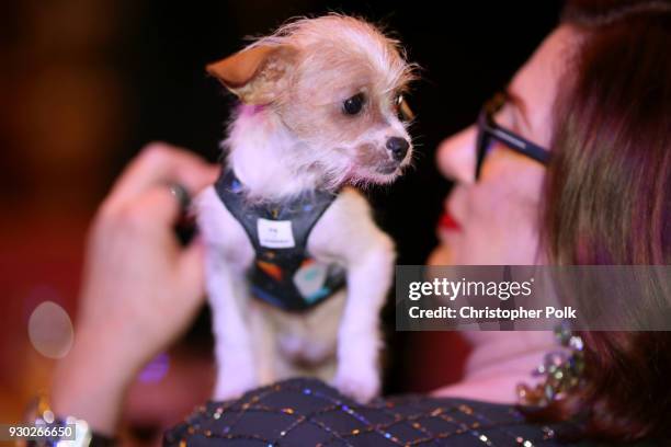 General view of atmosphere at the James Paw 007 Ties & Tails Gala at the Four Seasons Westlake Village on March 10, 2018 in Westlake Village,...