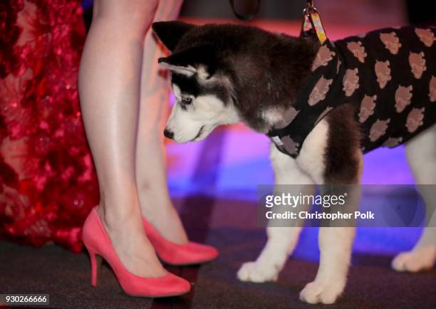 General view of atmosphere at the James Paw 007 Ties & Tails Gala at the Four Seasons Westlake Village on March 10, 2018 in Westlake Village,...
