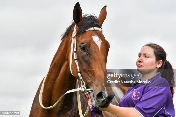 Bijou Belle after winning the Danny O'Brien MP BM58 Handicap at Stony Creek Racecourse on March 11, 2018 in Stony Creek, Australia.