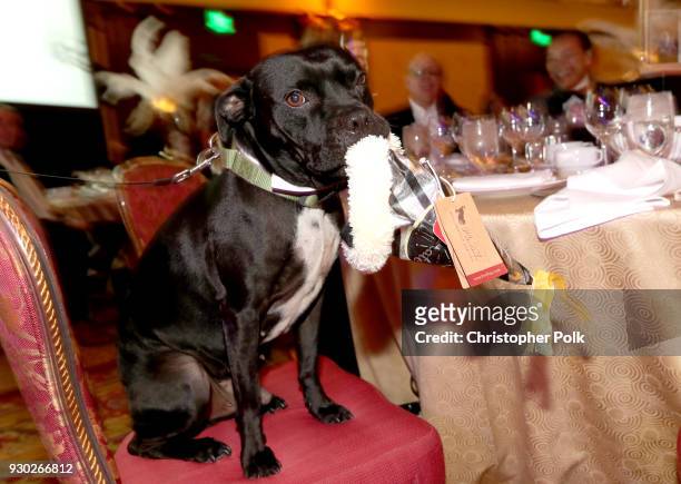 General view of atmosphere at the James Paw 007 Ties & Tails Gala at the Four Seasons Westlake Village on March 10, 2018 in Westlake Village,...