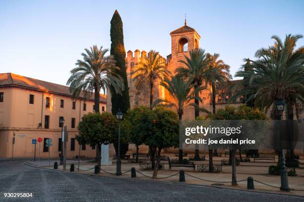 museo alcázar reyes cristianos, cordoba, andalucia, spain - アルカサル城塞 ストックフォトと画像