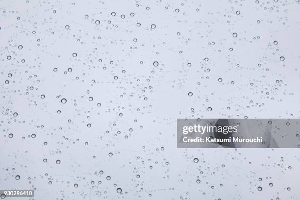 water drop texture background - raindrop bildbanksfoton och bilder