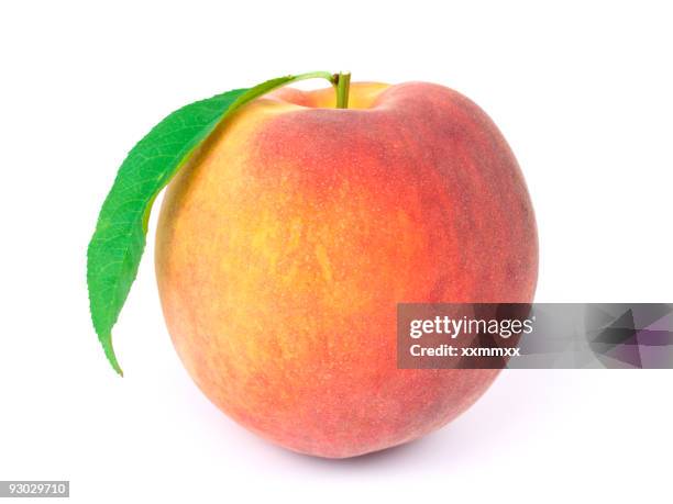 a peach isolated on white background - persika bildbanksfoton och bilder