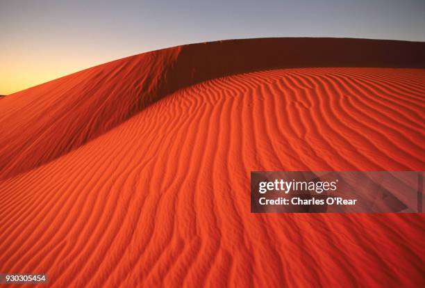 south africa dunes - kalahari desert 個照片及圖片檔