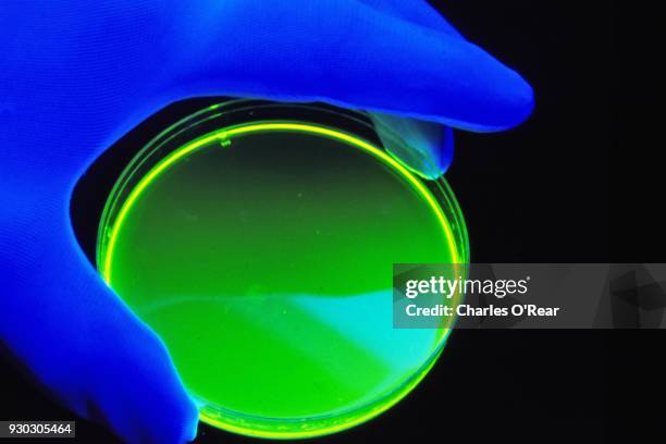 laser dyes - fluorescent dye stock pictures, royalty-free photos & images