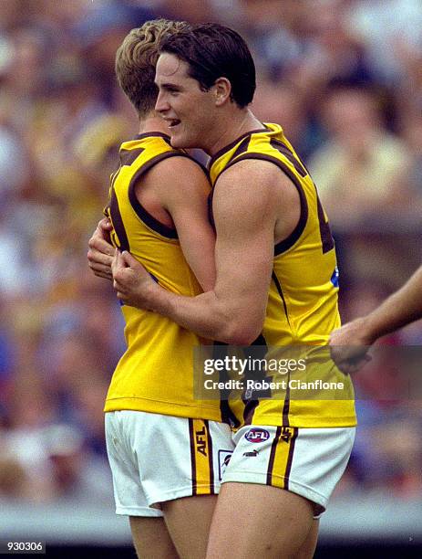 Trent Croad and Tim Clarke for Hawthorn celebrate a goal, during the match between the Carlton Blues and the Hawthorn Hawks, during round two of the...