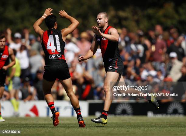 Jake Stringer of the Bombers celebrates a goal with Ben McNiece of the Bombers during the AFL 2018 JLT Community Series match between the Geelong...