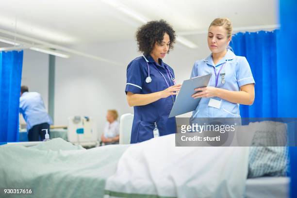 krankenschwester und stationsschwester am krankenbett - looking at a photo album stock-fotos und bilder