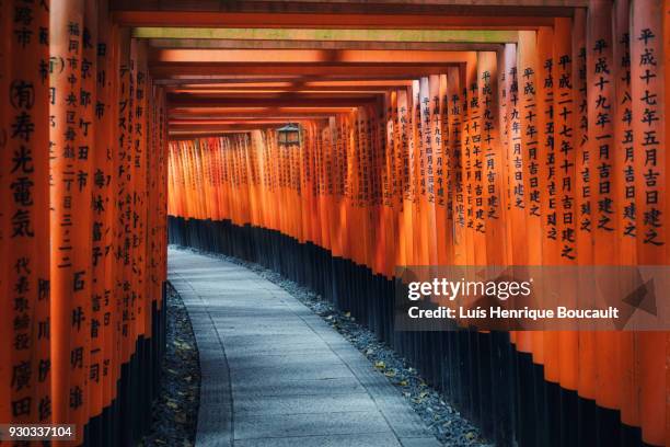 fushimi inari shrine & lights - daigoji stock pictures, royalty-free photos & images