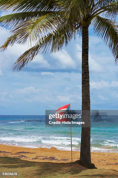 puerto rican flag fluttering on the beach, luquillo beach, puerto rico - luquillo stock-fotos und bilder