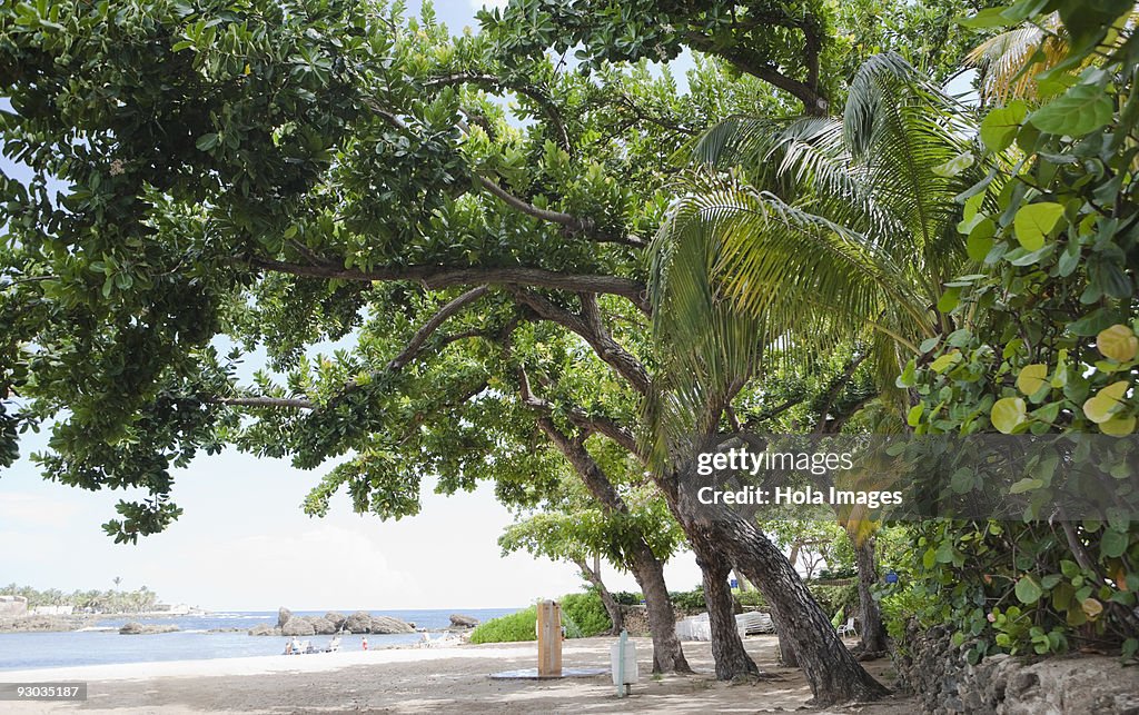 Three people walking on the beach, San Juan, Puerto Rico