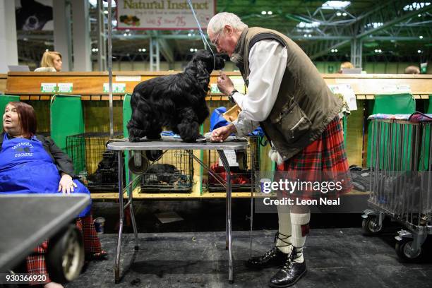 Man grooms his Cocker Spaniel ahead of judging on day four of the Cruft's dog show at the NEC Arena on March 11, 2018 in Birmingham, England. The...