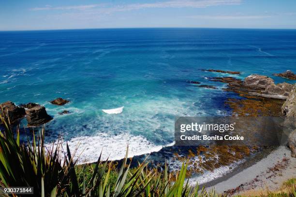 roaring bay, looking down at the shore, from nugget point, in the catlins - nugget point stock pictures, royalty-free photos & images