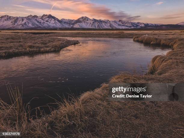 owens river dawn - owens rivier stockfoto's en -beelden