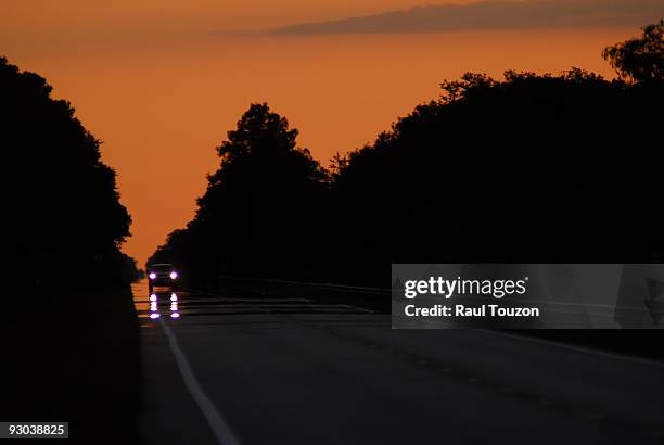 car headlights and reflections on us route 41 at dusk. - big cypress swamp national preserve stock pictures, royalty-free photos & images