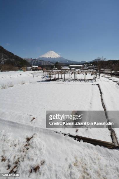 mt fuji and snowy field - kamal zharif stock pictures, royalty-free photos & images