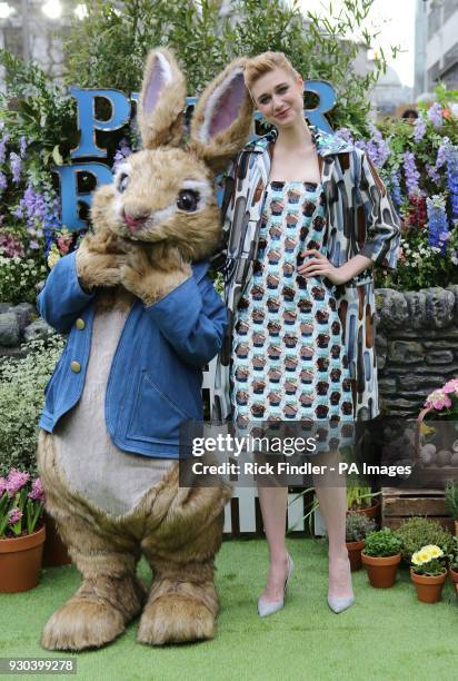Elizabeth Rabbit Fapachi 696 The Square Rabbit Stock Photos, High-Res Pictures, and Images ...