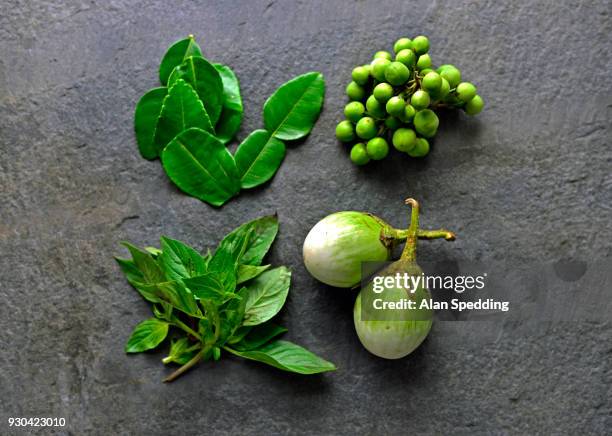 green curry ingredients - green curry stock pictures, royalty-free photos & images