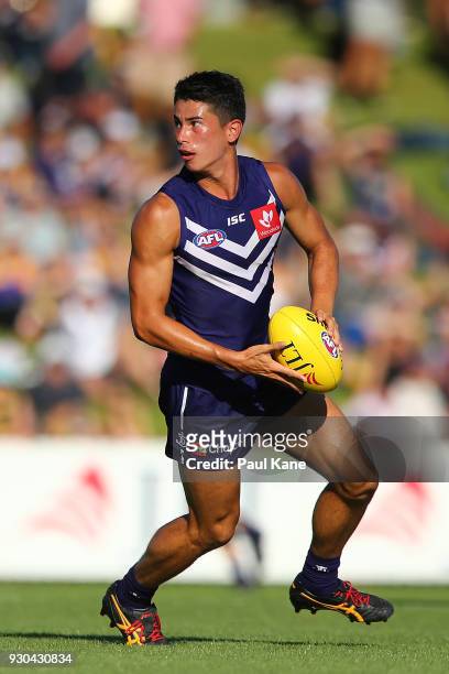 Bailey Banfield of the Dockers looks to pass the ball during the JLT Community Series AFL match between the Fremantle Dockers and the West Coast...