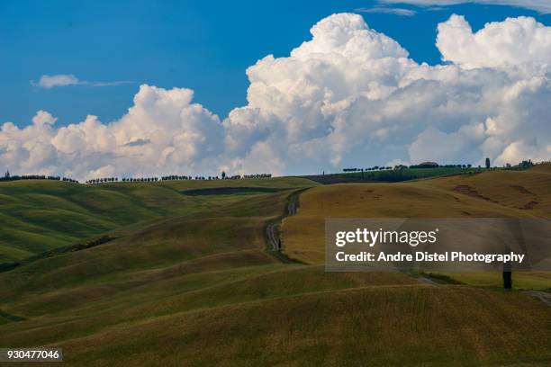 val d'orcia - tuscany, italy - zypressen stock pictures, royalty-free photos & images