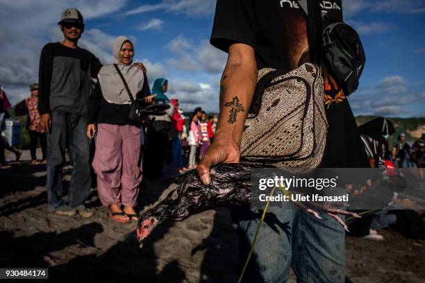 Man holds a chicken after being thrown by Hindu devotees as an offering as they pray during the Melasti ritual ceremony at Parangkusumo beach on...