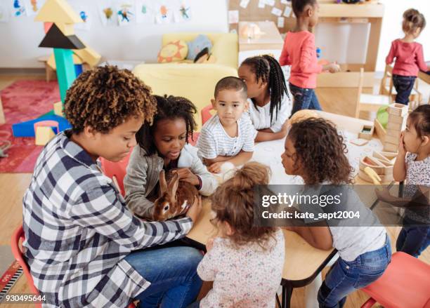 schattige huisdieren een bezoek aan kinderdagverblijf - baby bunny stockfoto's en -beelden