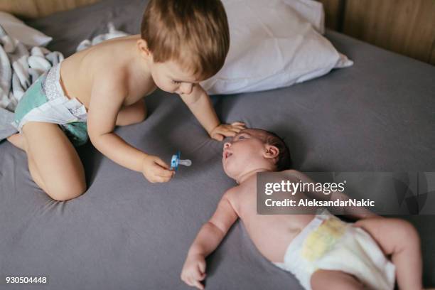 helping my little brother - sibling support stock pictures, royalty-free photos & images