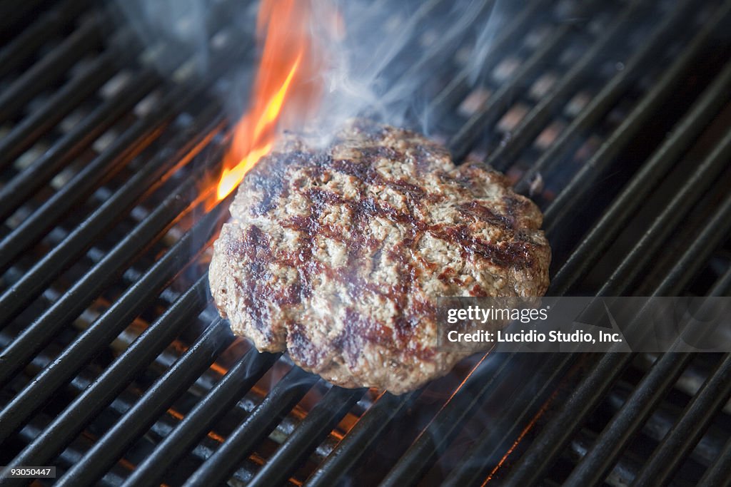 Lean Meat Hamburger 