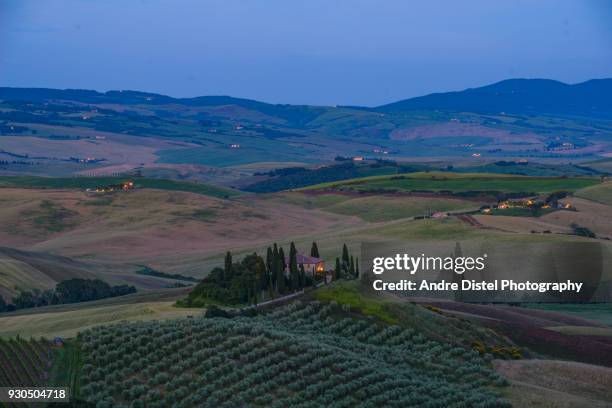 val d'orcia - tuscany, italy - zypressen stock pictures, royalty-free photos & images