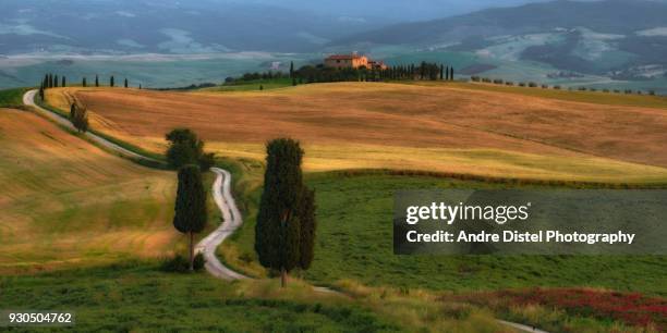 val d'orcia - tuscany, italy - zypressen stock pictures, royalty-free photos & images