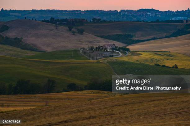 val d'orcia - tuscany, italy - zypressen stock pictures, royalty-free photos & images