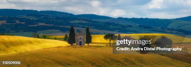 val d'orcia - tuscany, italy - zypressen stock pictures, royalty-free photos & images