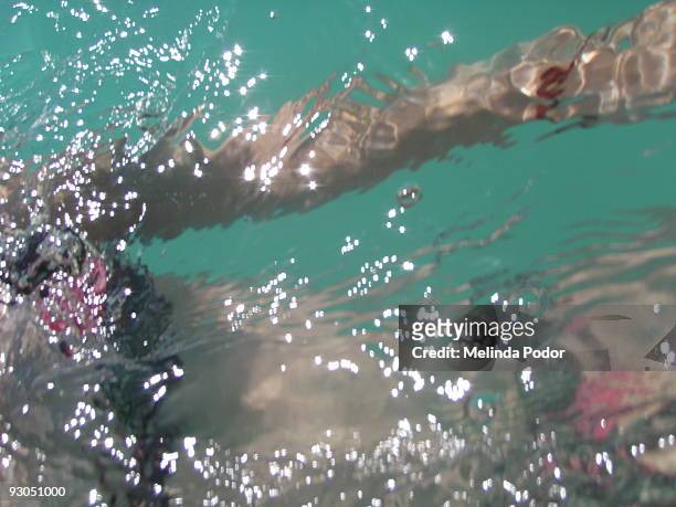 girl in bikini swimming at kailua beach, oahu - kailua beach stock pictures, royalty-free photos & images